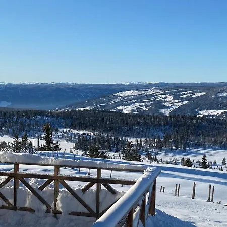 Lostegard Holiday home