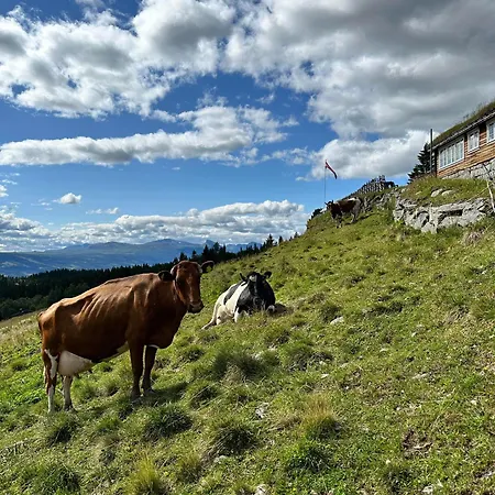 Lostegard Holiday home Gol