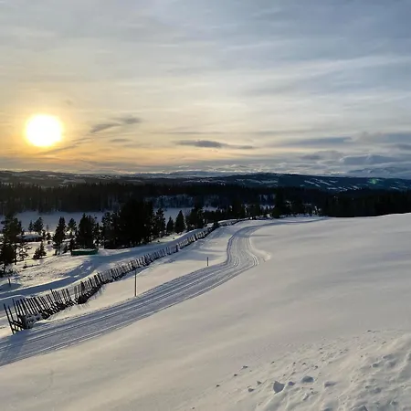 Lostegard At The Of Golsfjellet Gol