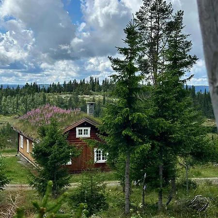 Lostegard At The Of Golsfjellet