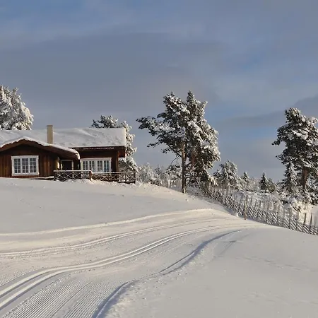 Lostegard At The Of Golsfjellet