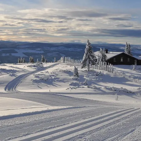 Lostegard At The Of Golsfjellet Nyaraló *