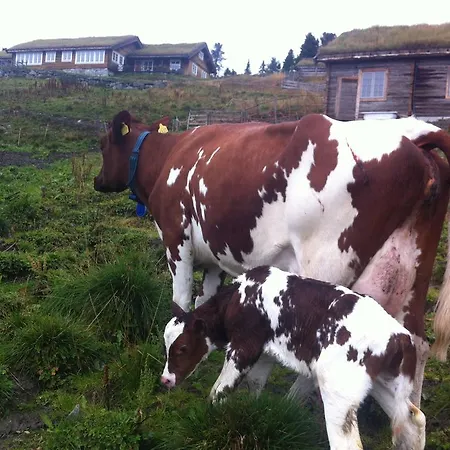 Lostegard At The Of Golsfjellet Tatil Evi Gol