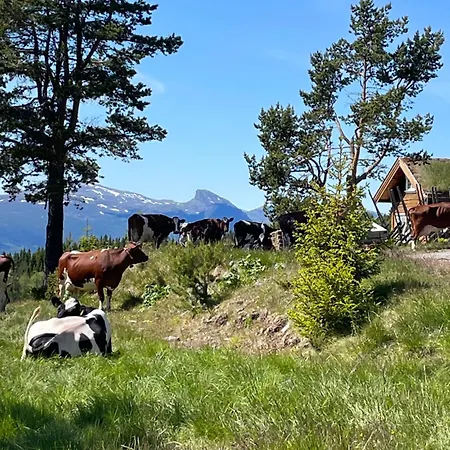 Lostegard At The Of Golsfjellet Prázdninový dům