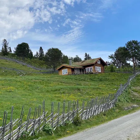 Lostegard At The Of Golsfjellet 펜션 골