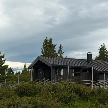 Lostegard At The Of Golsfjellet 펜션