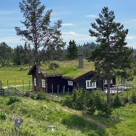 Lostegard At The Of Golsfjellet * 골