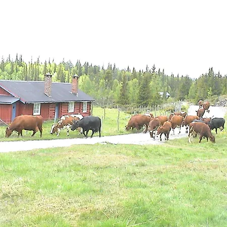 Lostegard At The Of Golsfjellet Σπίτι διακοπών