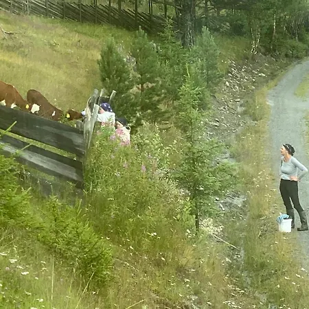 Lostegard At The Of Golsfjellet 度假居 *