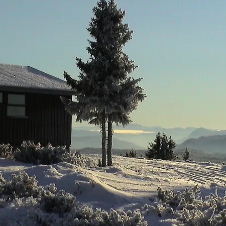 Tatil Evi Lostegard At The Of Golsfjellet