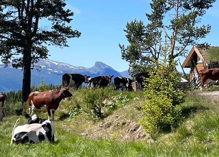 Lostegard Casa vacanze